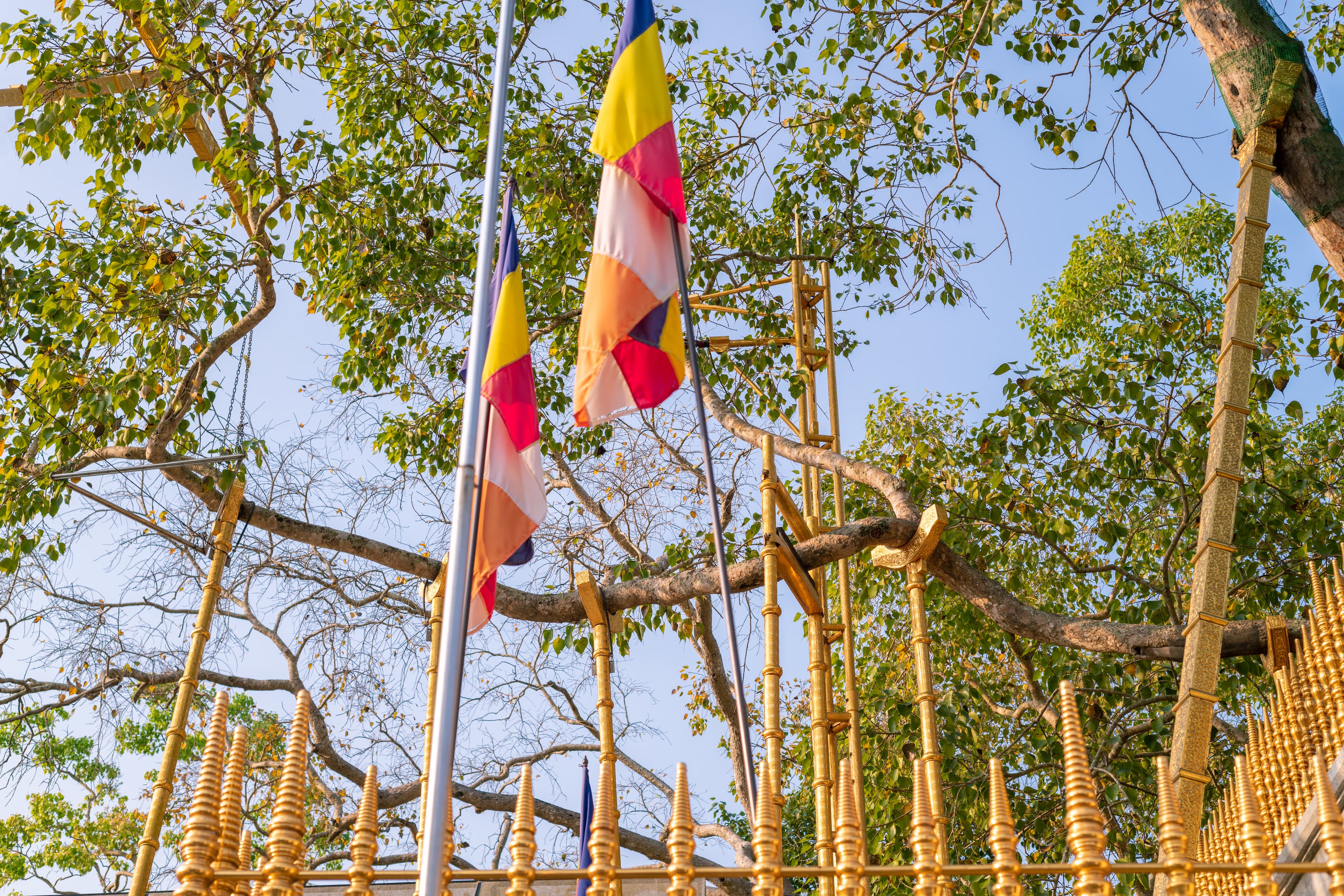 Anuradhapura attraction 1