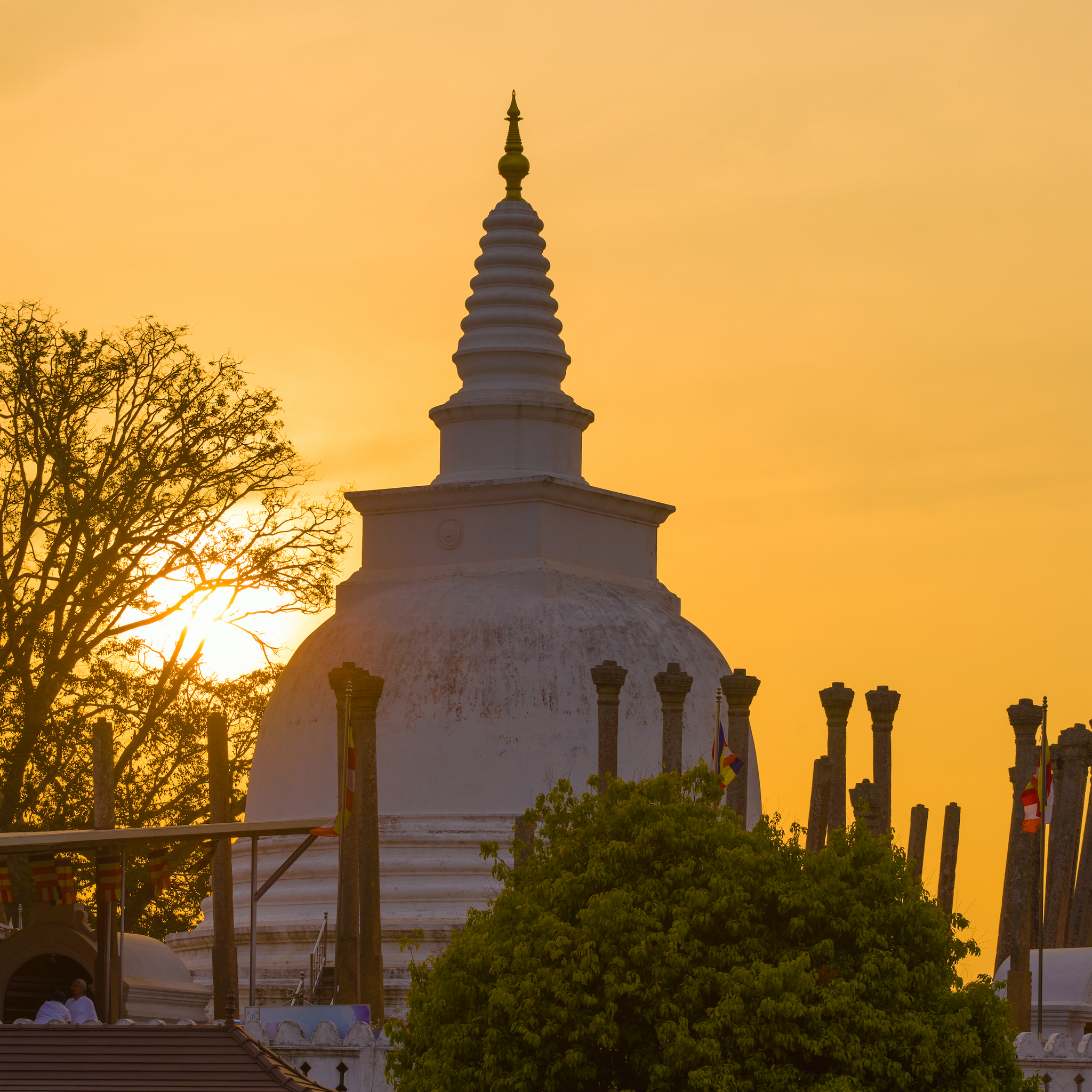 Thuparamaya